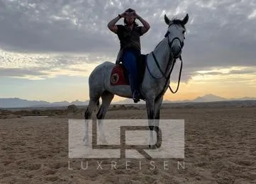 Horseback riding in Hurghada: Horseback riding on the beach or in the desert photo